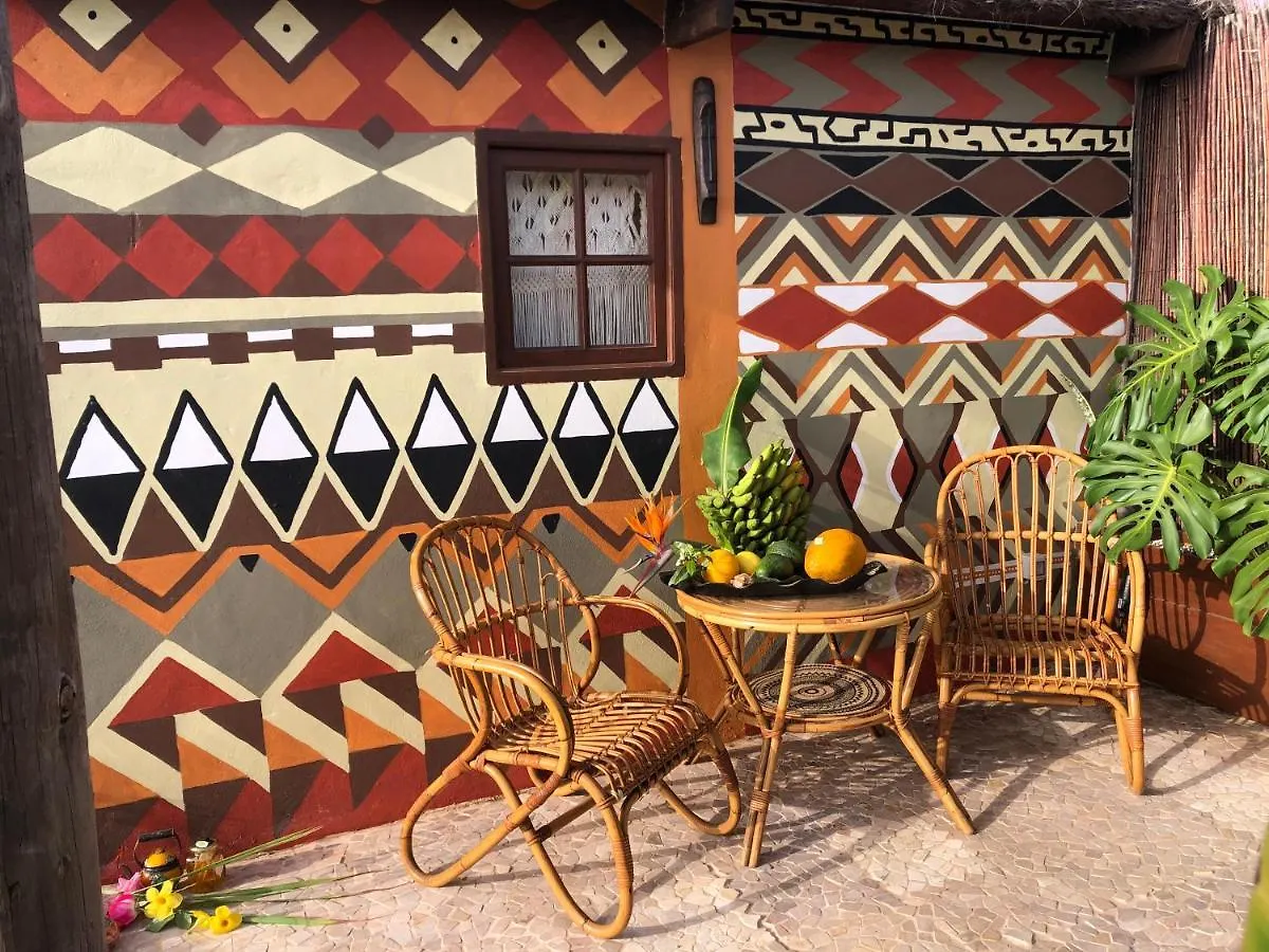 Afrikan Krisant Tenerife, Casa Rural Ecologica Arafo Spanien