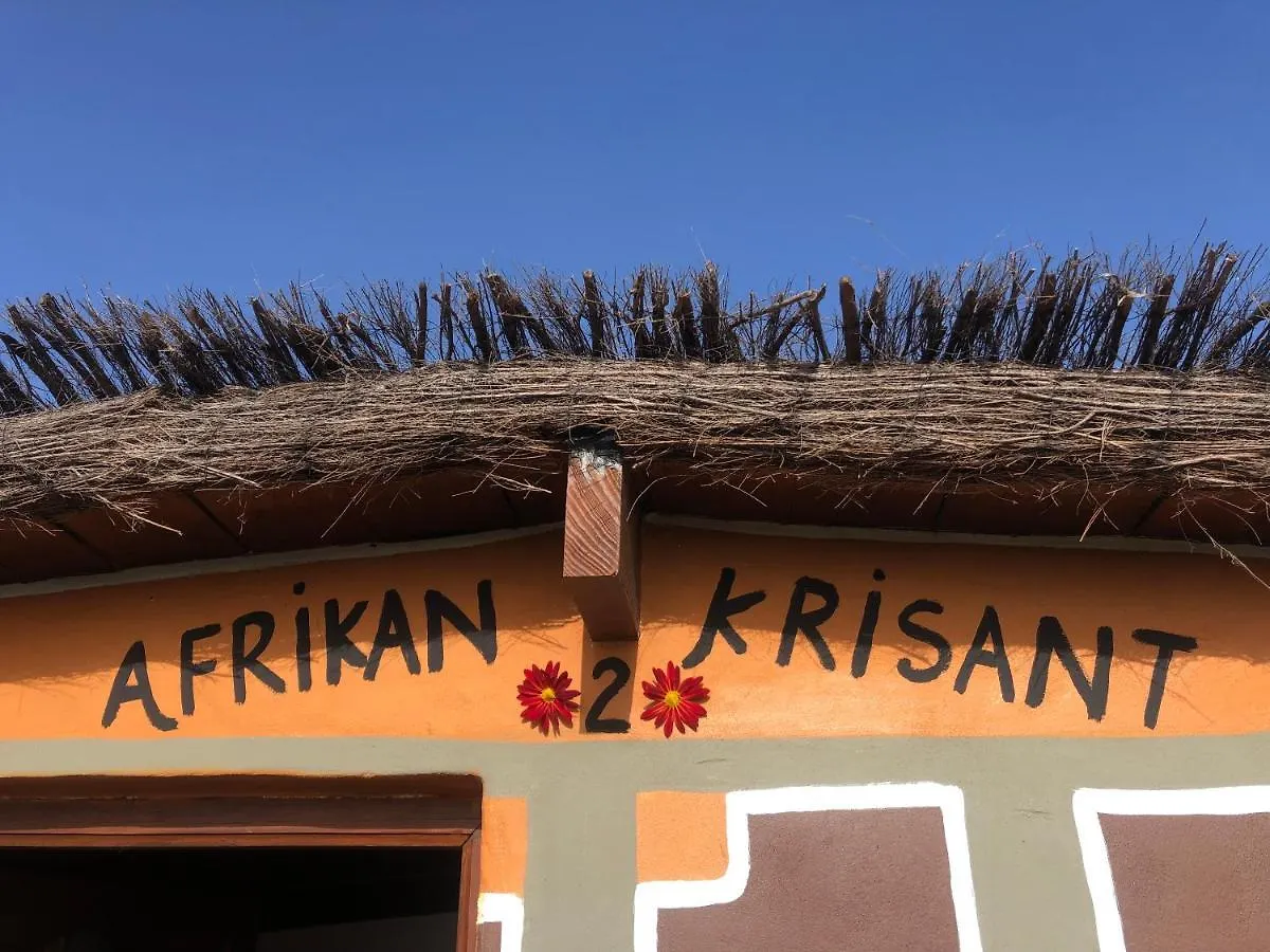 Afrikan Krisant Tenerife, Casa Rural Ecologica Arafo 0*,  Spanien