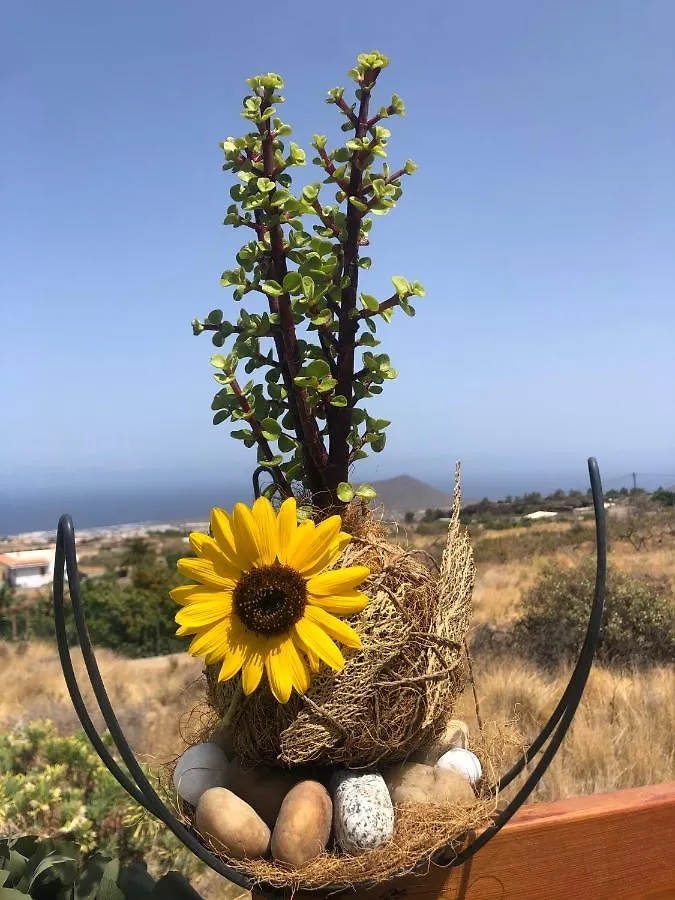 Afrikan Krisant Tenerife, Casa Rural Ecologica Arafo Villa