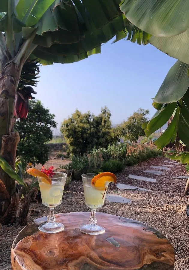 Villa Afrikan Krisant Tenerife, Casa Rural Ecologica Arafo
