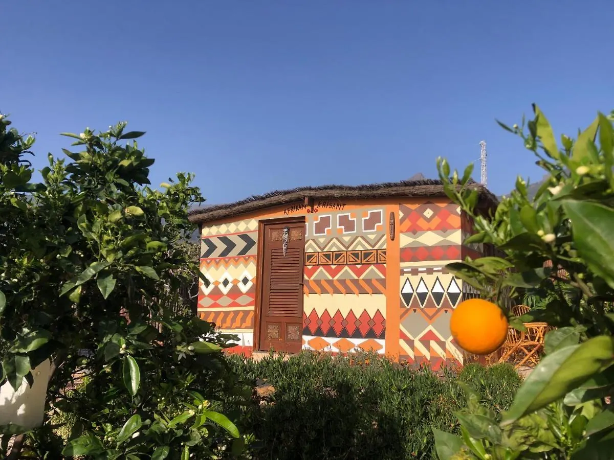 Afrikan Krisant Tenerife, Casa Rural Ecologica Arafo