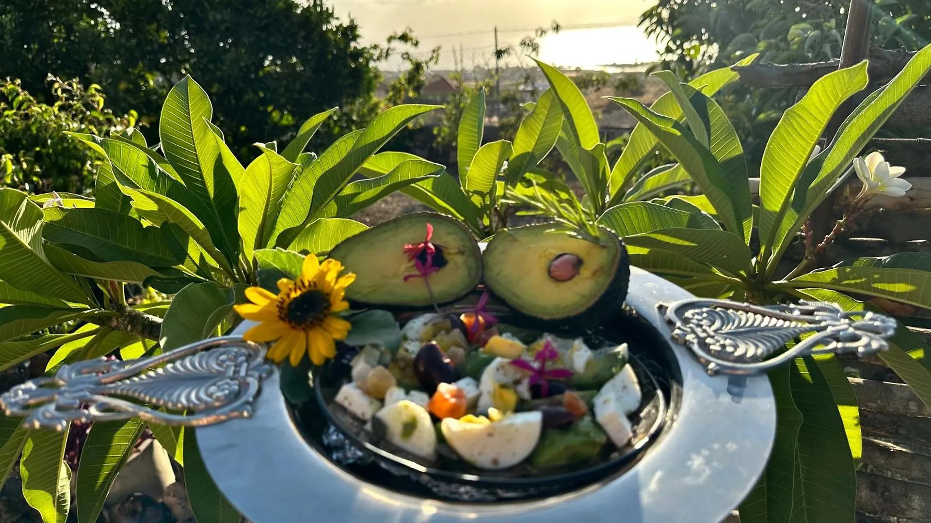 Villa Afrikan Krisant Tenerife, Casa Rural Ecologica Arafo